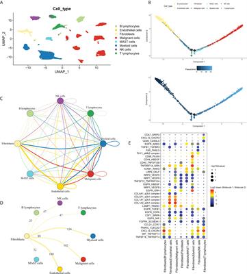 Development and validation of a novel fibroblast scoring model for lung adenocarcinoma